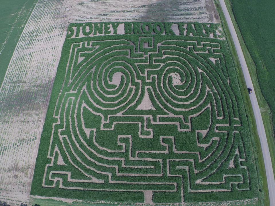 How do they make the Foley corn maze? It's all in the technology