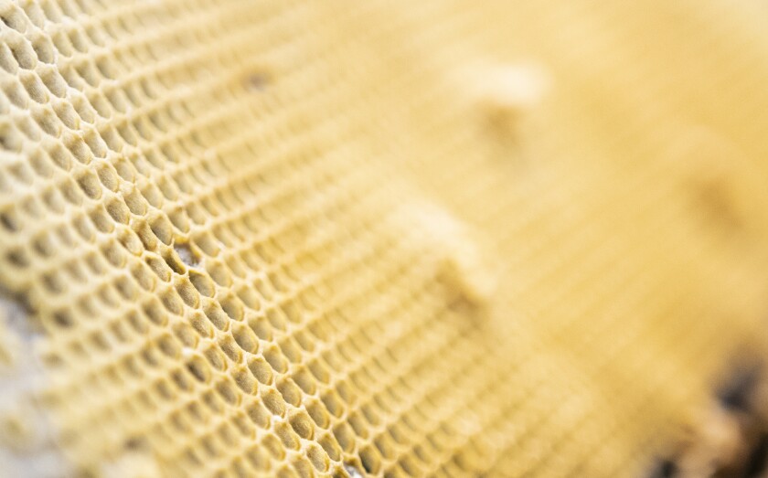 Honeycomb sits in the basement of local beekeeper Russ Koopman on Wednesday, July 20, 2022.