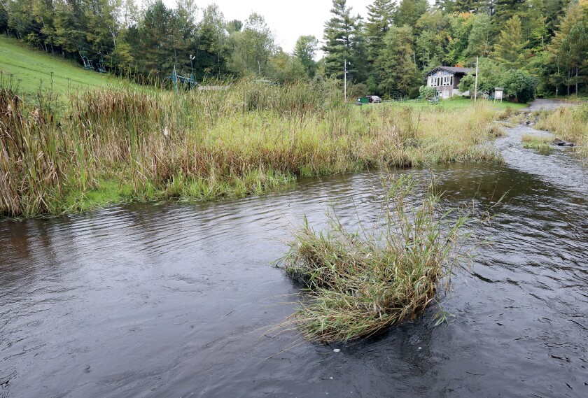 Chester Creek.