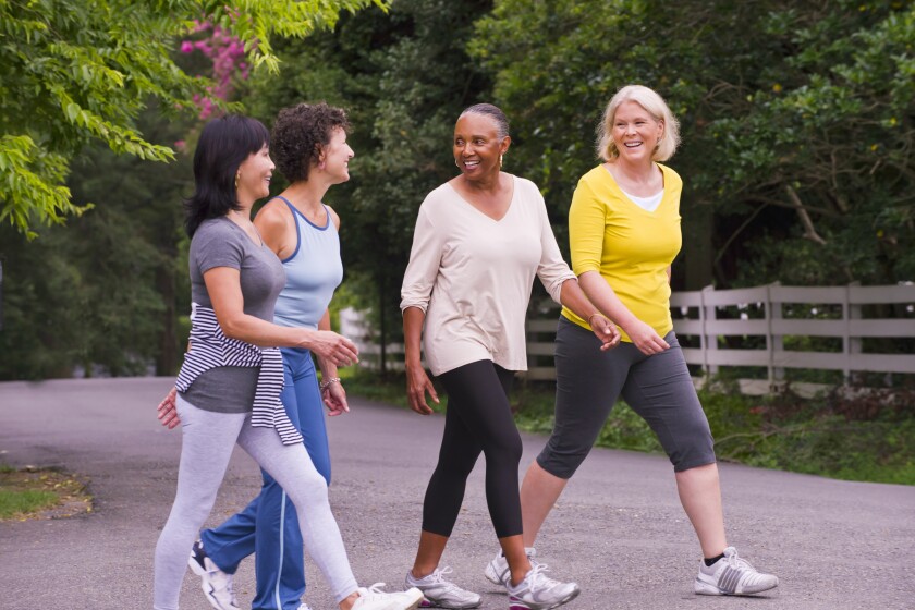 A group of women walk on a tree-lined paved trail.