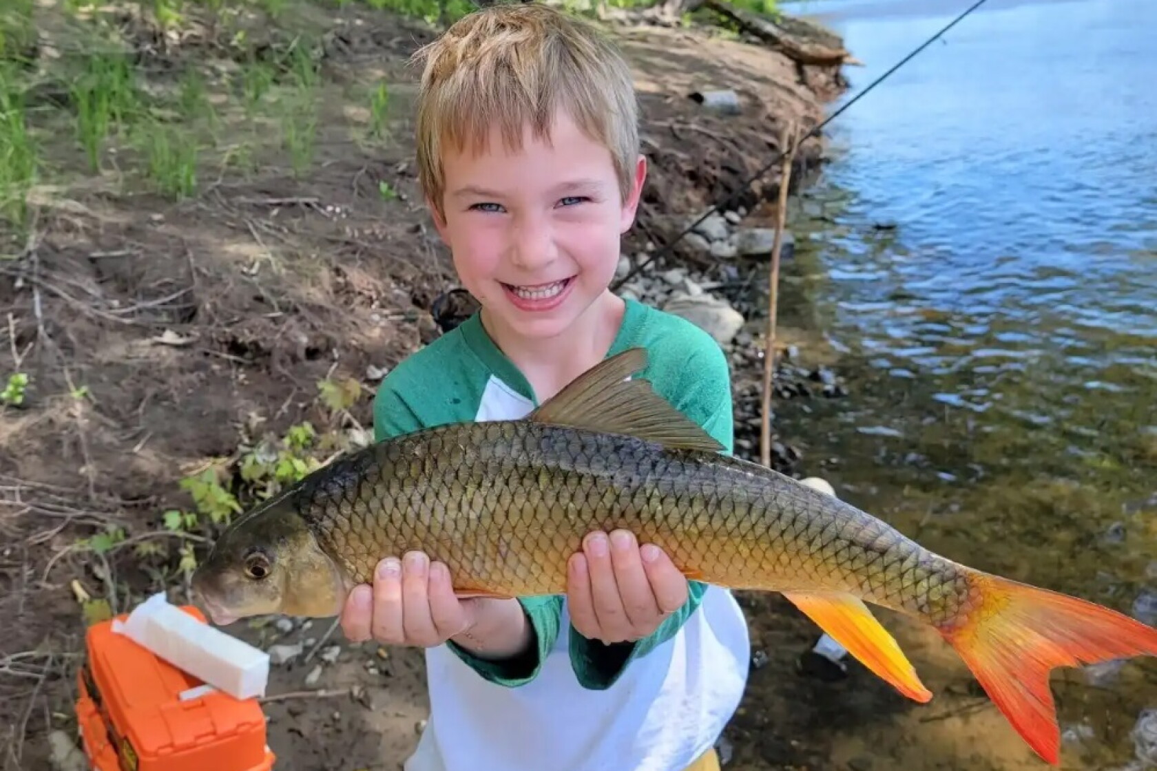 Wisconsin Rough Fish DNR plans changes to protect native rough fish - InForum | Fargo ...
