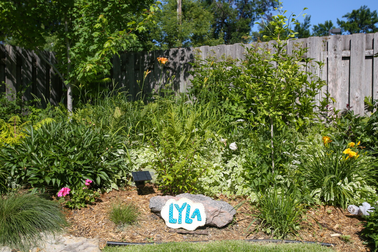 Alyssa Miller made a headstone for her dog Lyla that is in her garden at her home in south Fargo.