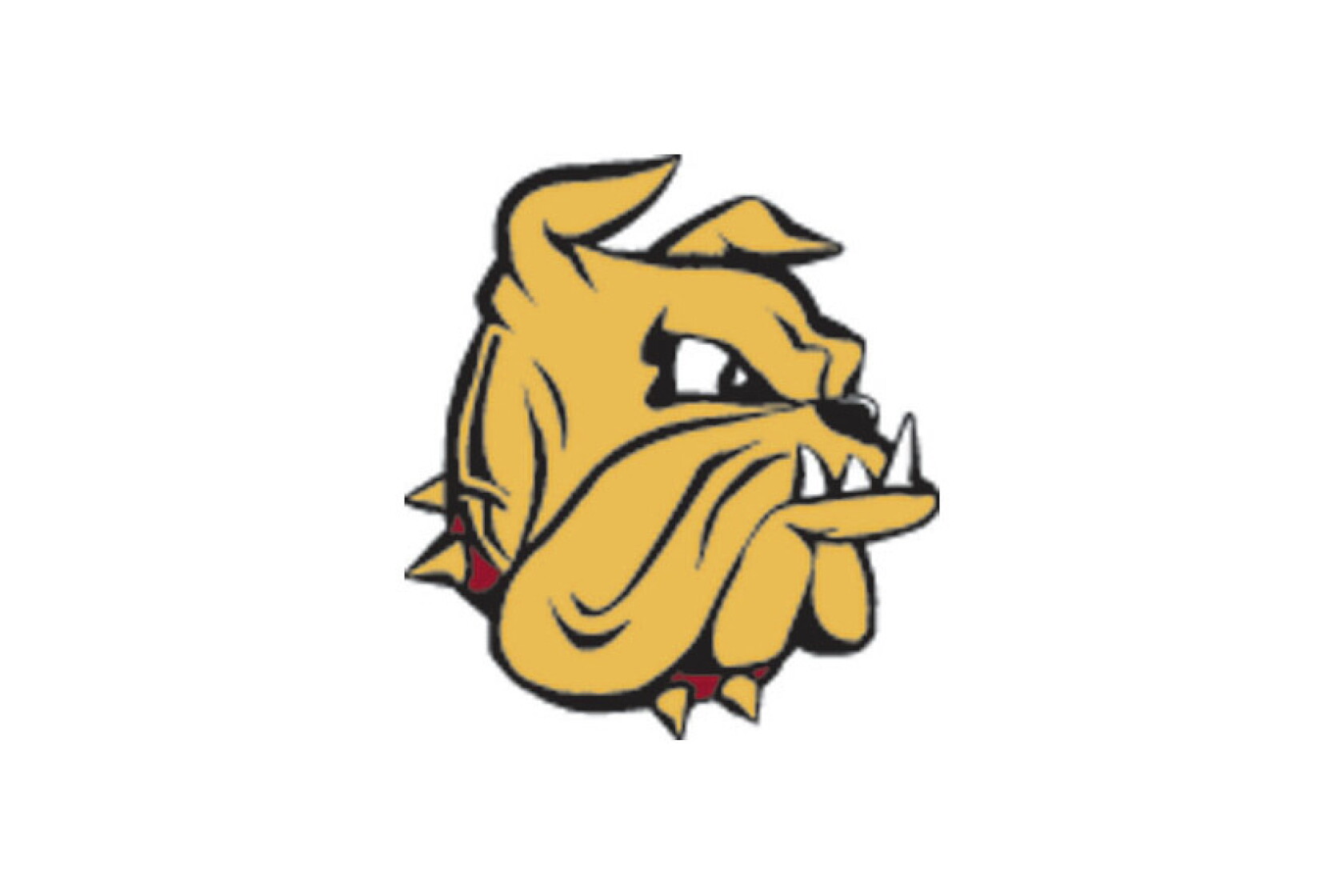 Individual Report Project Bulldogs report: UMD women's soccer wins opener - Duluth News Tribune ...