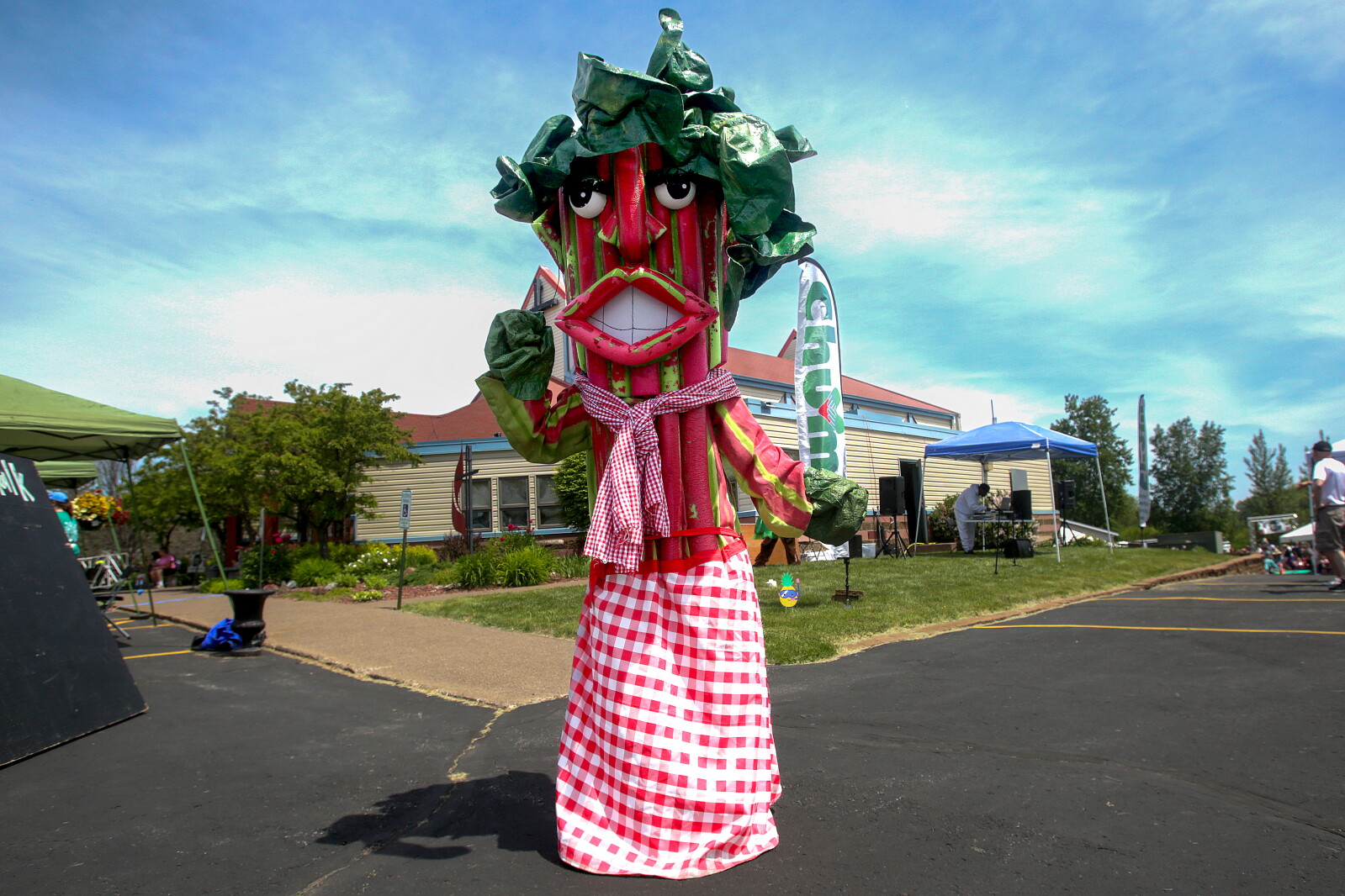 Photos and video: Food, fun and fundraising at the Rhubarb Festival