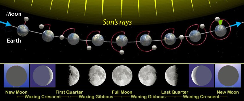 Moon phases wiki Orion 8 CC BY SA 3.0 S V2.jpg
