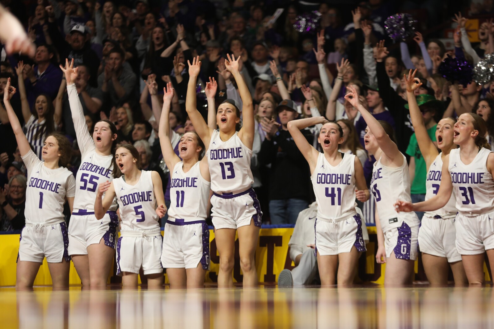Goodhue plays a gem, finishes as state champion - Post Bulletin ...