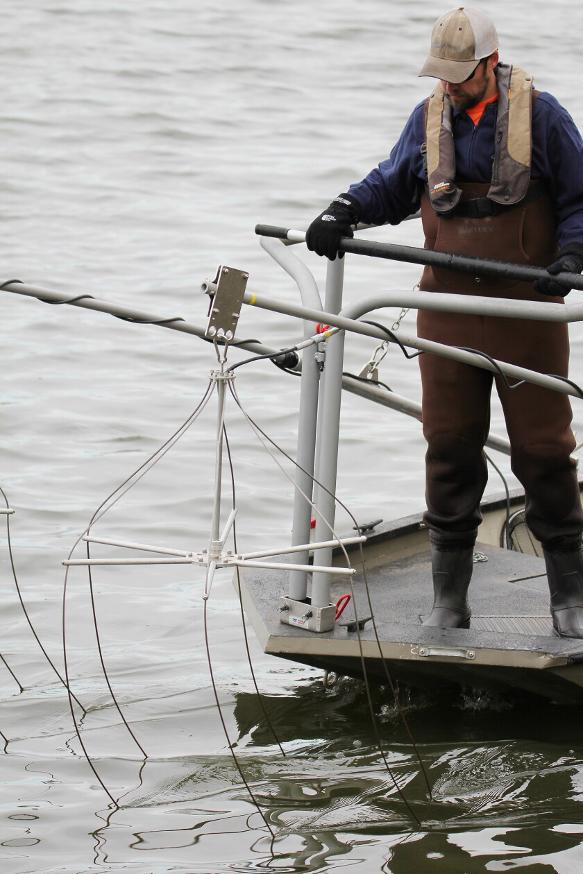 Small Fish Taser Taser-like device used on Lake Okabena to shock fish, count carp - The ...