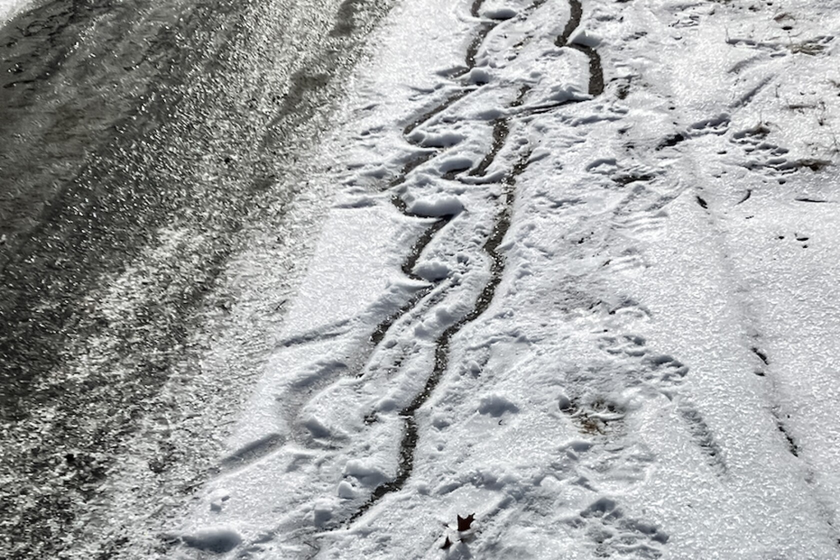 Generations: Strange tracks in the snow - The Bemidji Pioneer is your ...