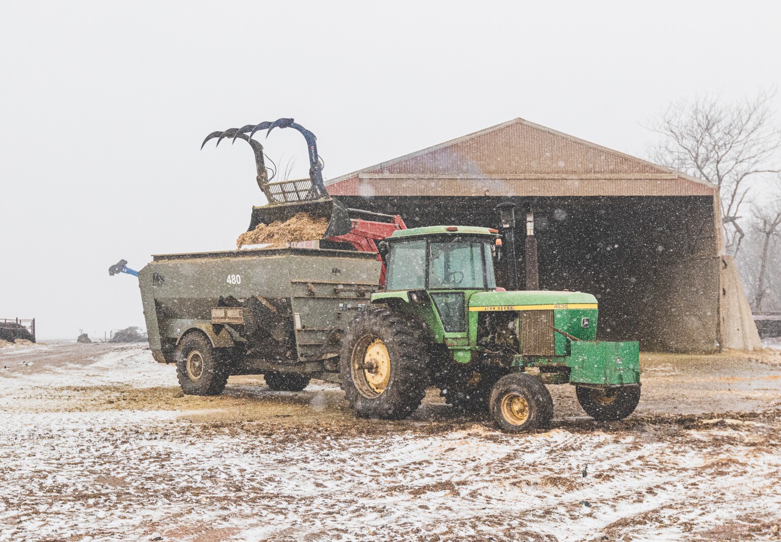 GronsethCattleFarm-39.jpg