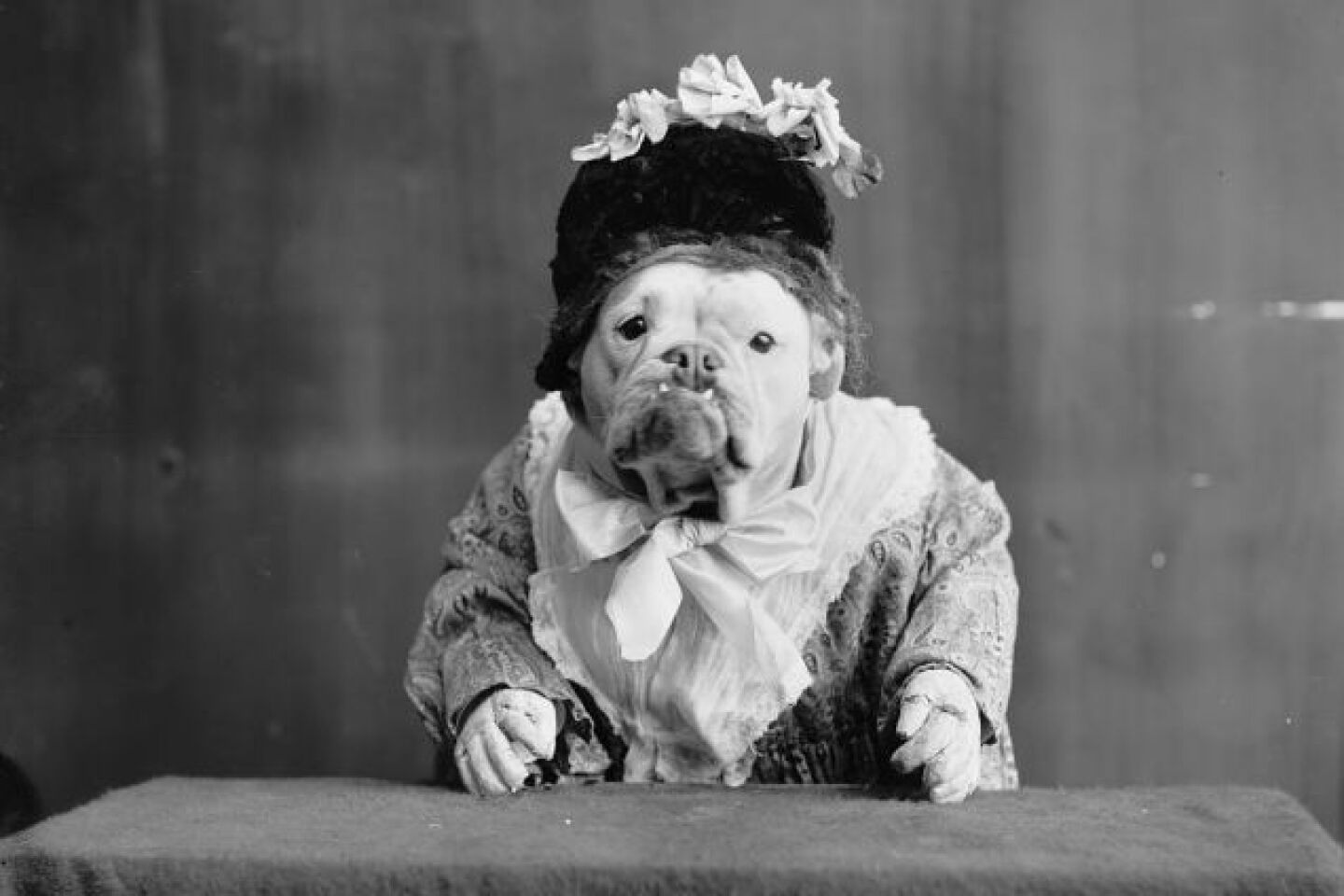 Mrs. circa 1905.jpg
