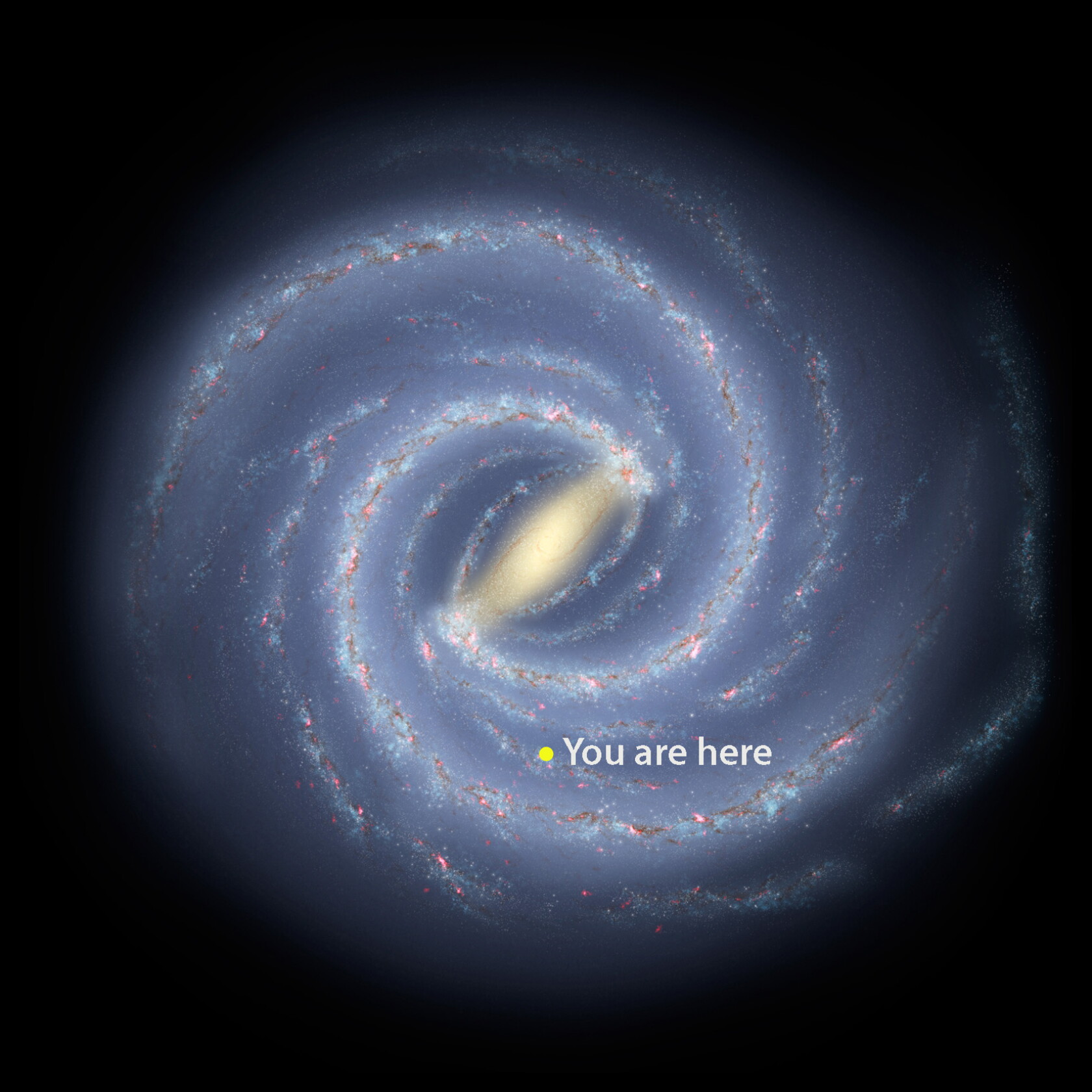 Sun In Andromeda Astro Bob: Take a trip to somewhere grand and far away, the Andromeda ...