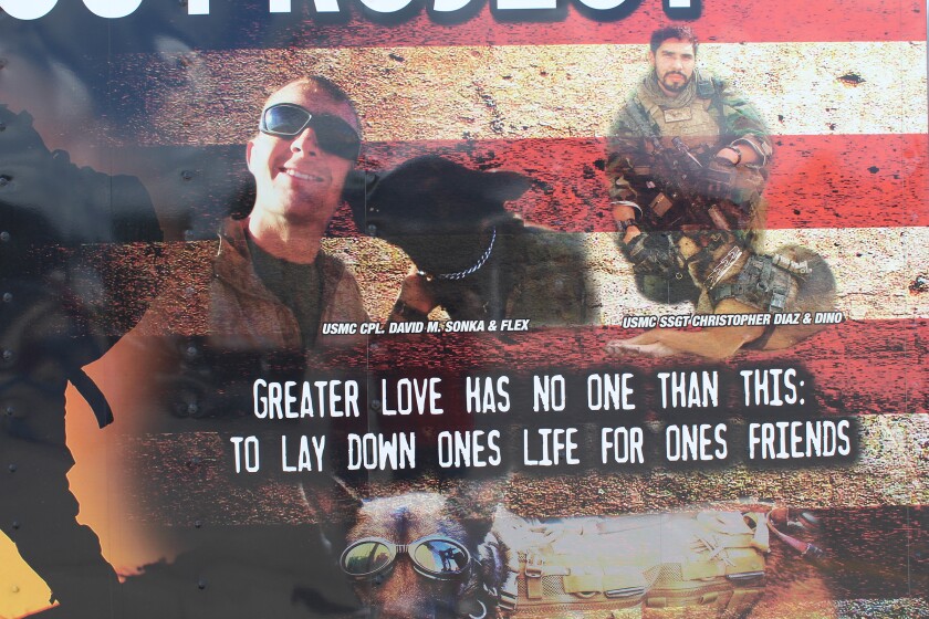 3471968+070117.N.DG_.DAWGDAYS 2.jpg