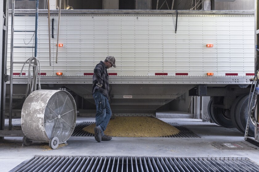 101918.n.wct.harvestupdate0097.jpg