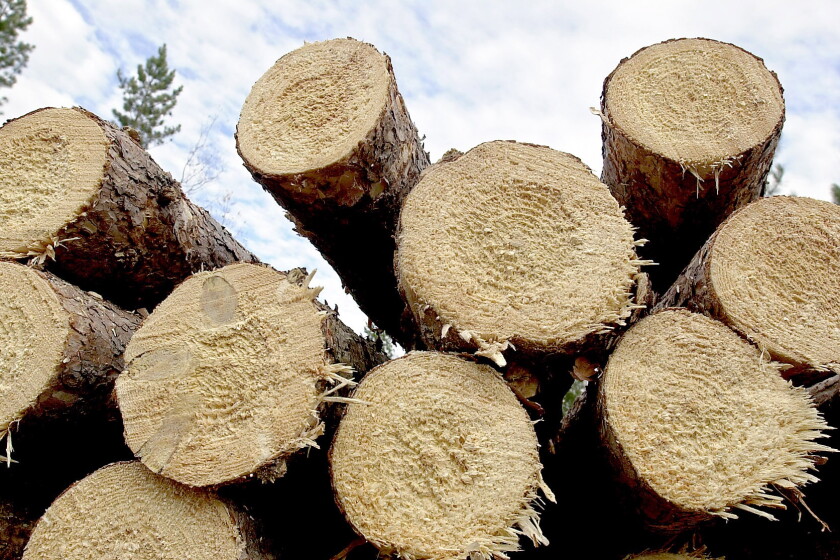 Minnesota DNR will talk with critics on wildlife area logging - Duluth News Tribune | News, weather, and sports from Duluth, Minnesota minnesota-dnr-will-talk-with-critics-on-wildlife-area-logging-duluth-news-tribune-news-weather-and-sports-from-duluth-minnesota