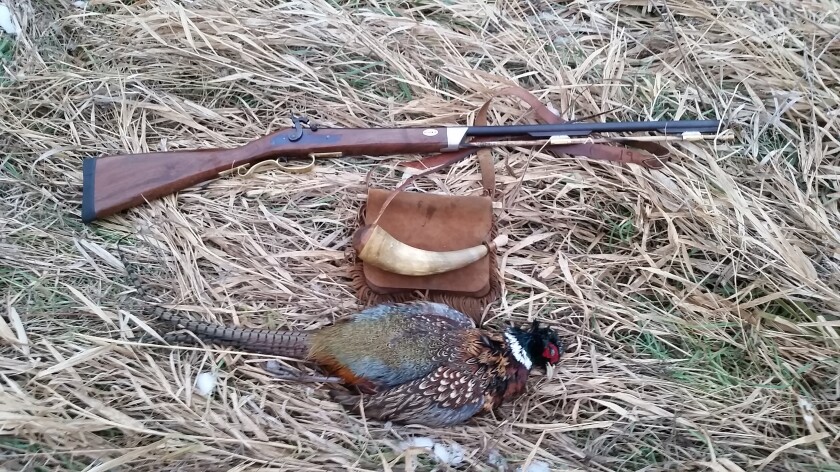 JW 17 gauge shotgun.jpg