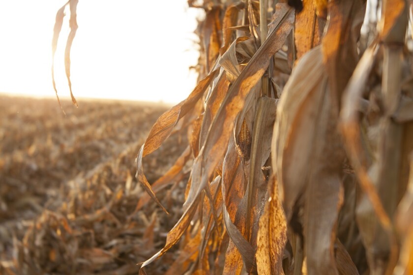 Agweek | Agriculture news in North Dakota Minnesota South Dakota Iowa