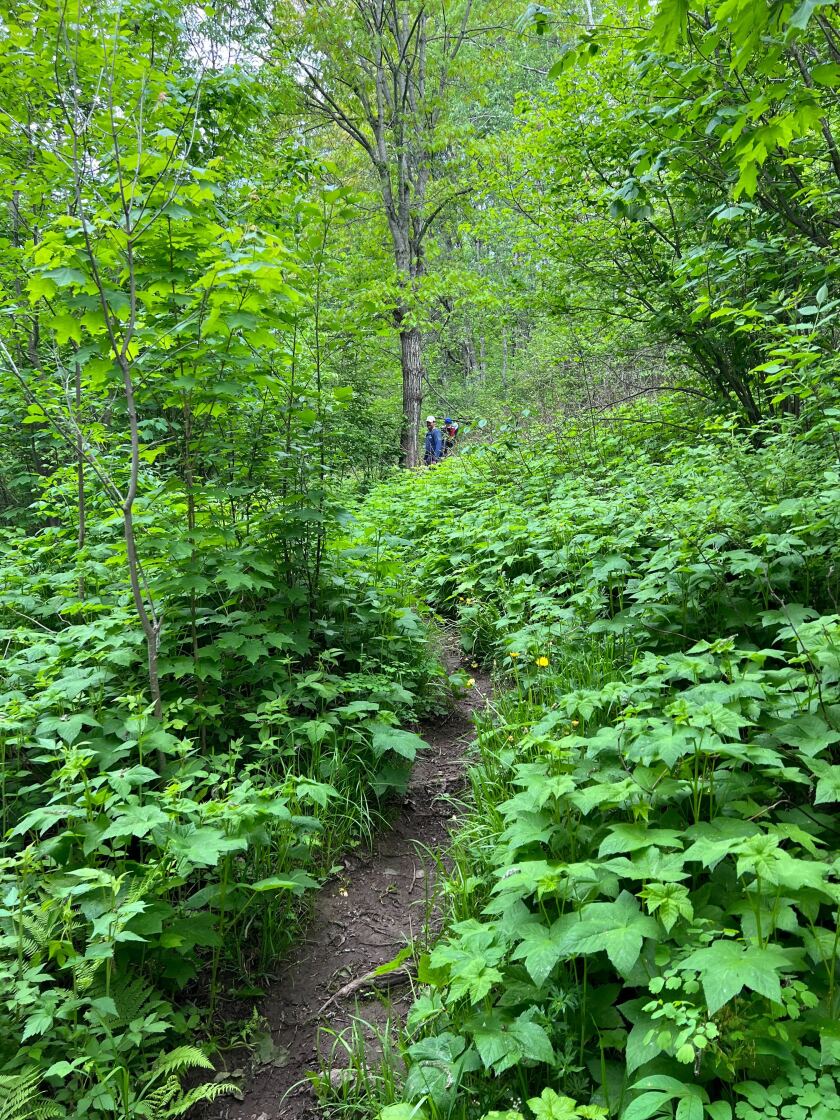 Father and son at Jay Cooke State Park