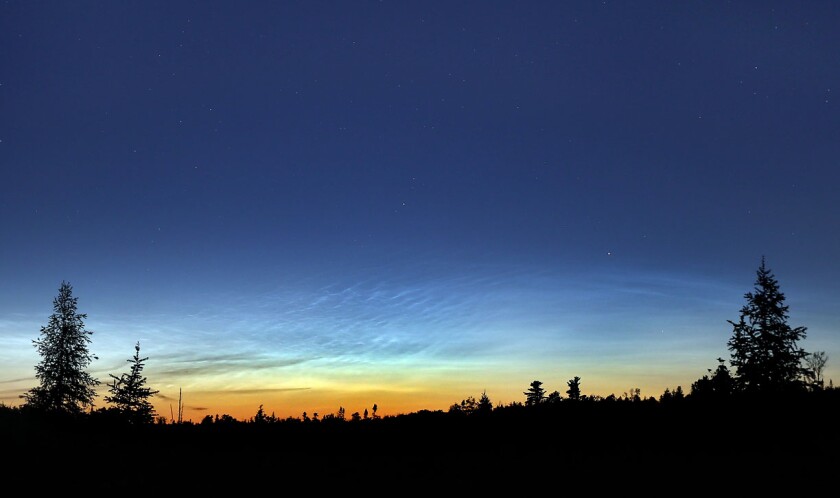 NLC closeup