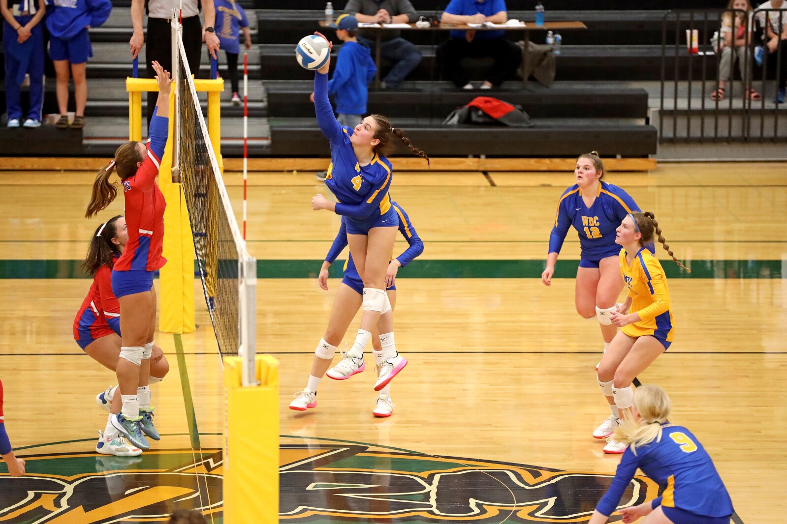Pequot Lakes vs Wadena-Deer Creek Volleyball on Thursday, Nov. 3, 2022, in Sauk Rapids.