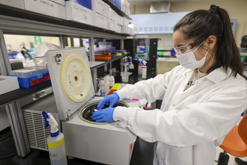 Researchers working with water samples in a laboratory setting.