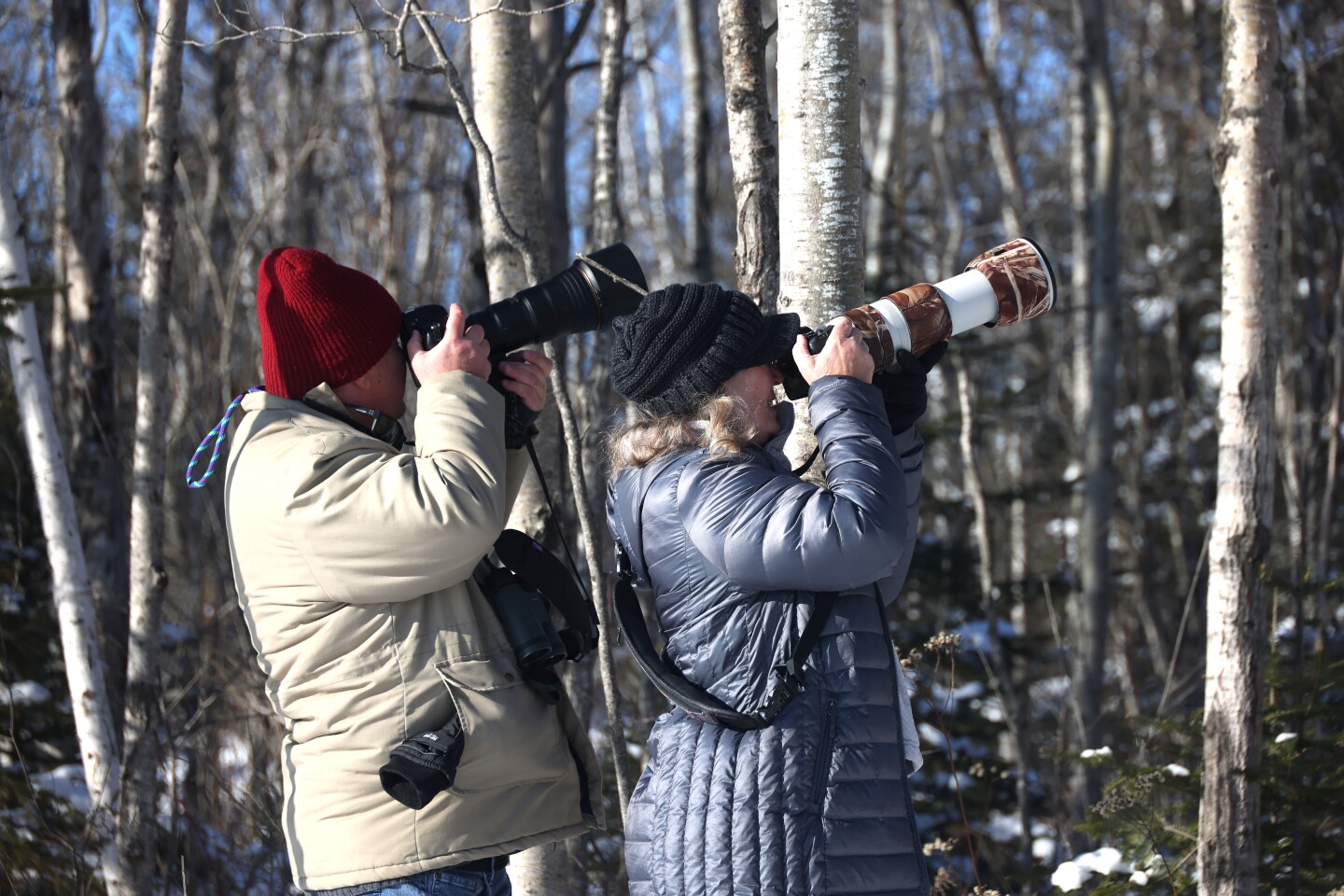 Two photographers take photos