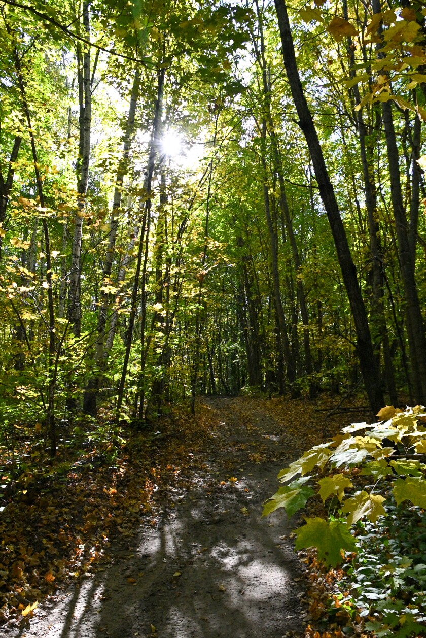 092725.BOTM.SMOKYHILLSFOREST.004.JPG