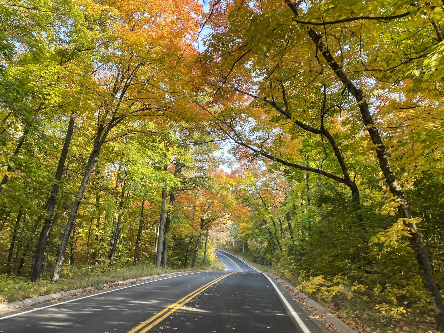 Dial-A-Ride of Minnesota to host fall color ride fundraiser