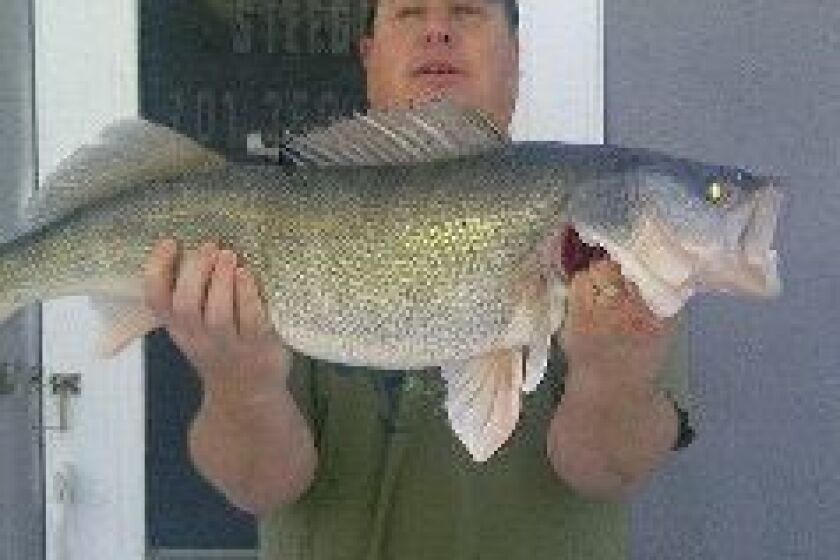 Mike Stoltman walleye