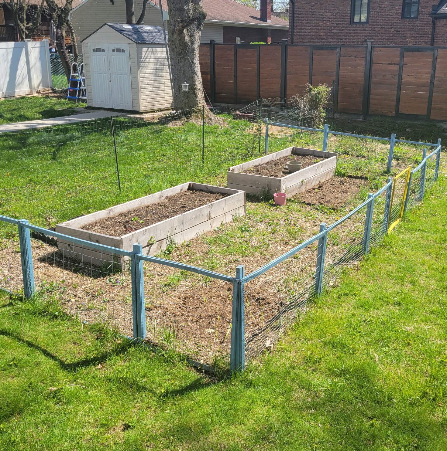 How to Keep Deer Out of a Garden: Proven Deterrents!