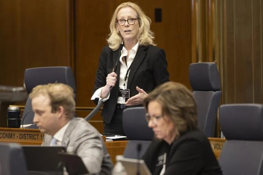 North Dakota lawmaker Liz Conmy dies in Minnesota plane crash - InForum ...