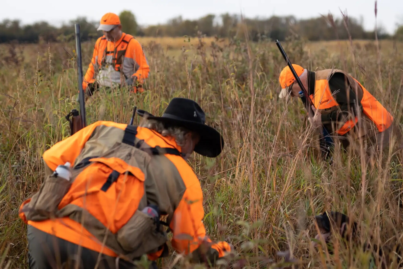 Hunting Comms PHOTOS: Hunting for votes: Walz steps into the field for the pheasant ...