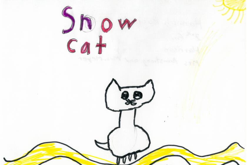 Weather drawing of a cat sitting in the snow.