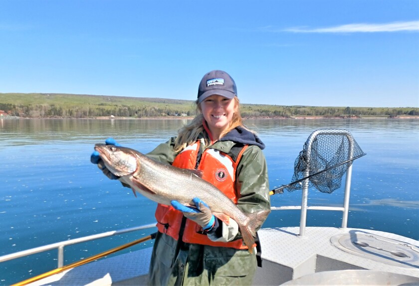 Lake Superior lake trout