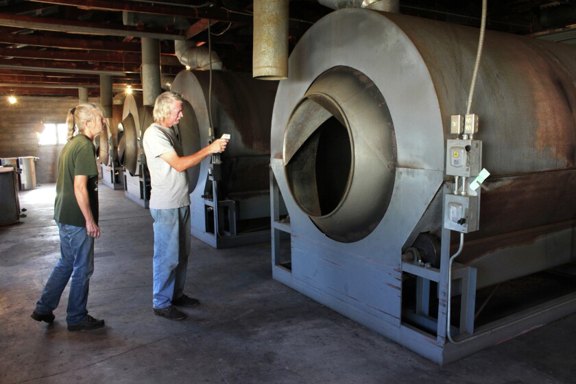 Wild rice plant in Pine River may be one of a kind - Pine and Lakes ...