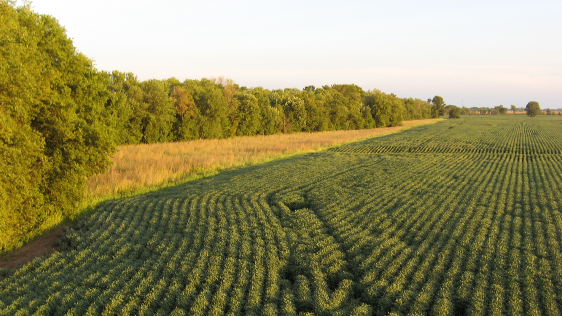Precision Ag Conservation Rcpp Missouri Precision ag tools can improve profitability, work with conservation ...