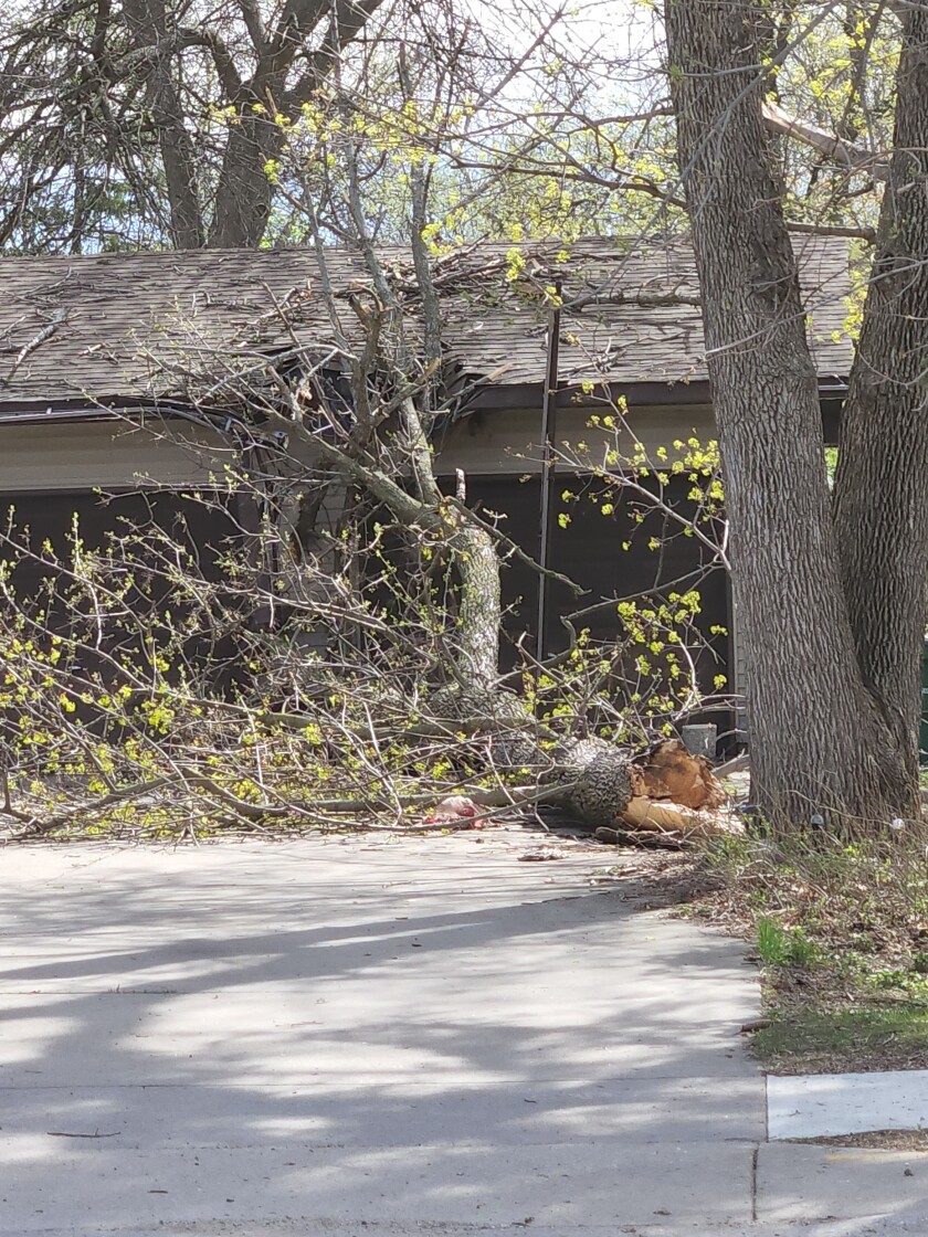A tree fell onto a garage causing damage on South Sibley Avenue in Litchfield.