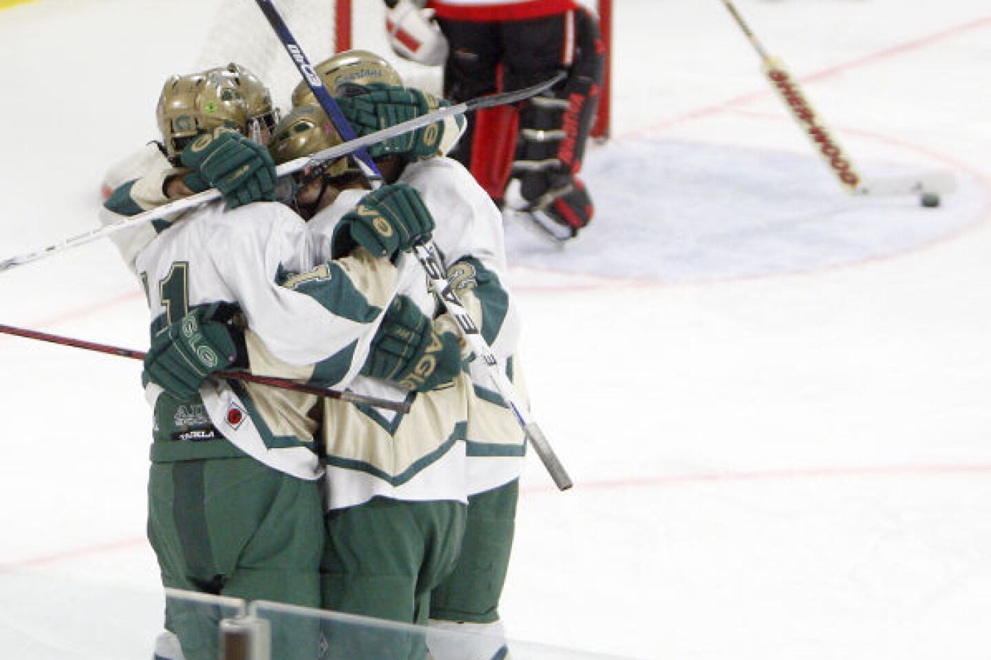 Three Rochester teams advance in boys hockey playoffs - Post Bulletin ...