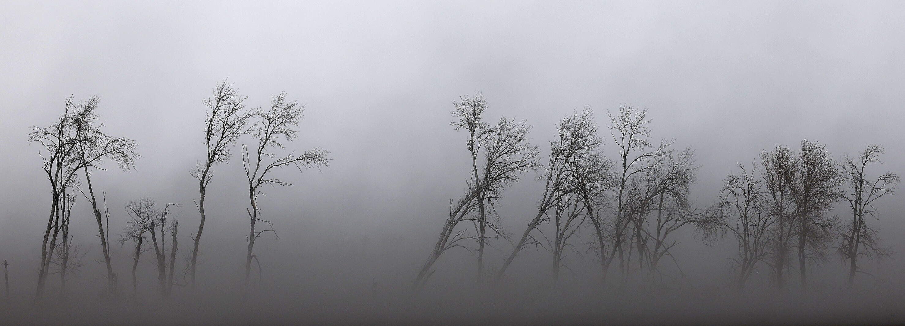 What farmers can do when a 'version of the Dust Bowl' hits