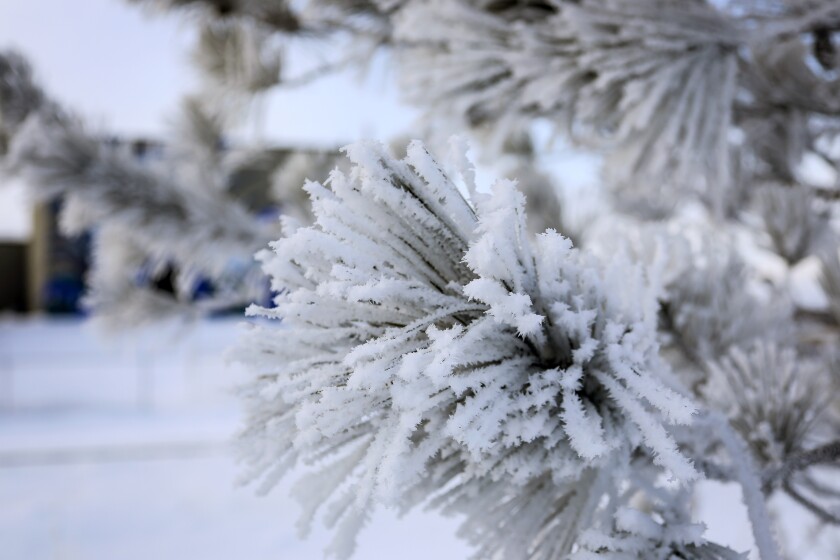 010723.N.BP.FROST - 7.jpg
