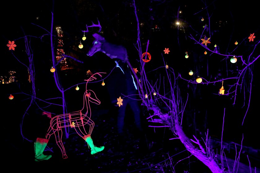 Black light forest.