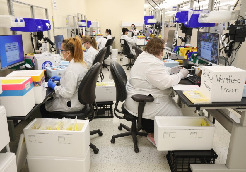 111720.N.RPB.mayolab-9793.jpg