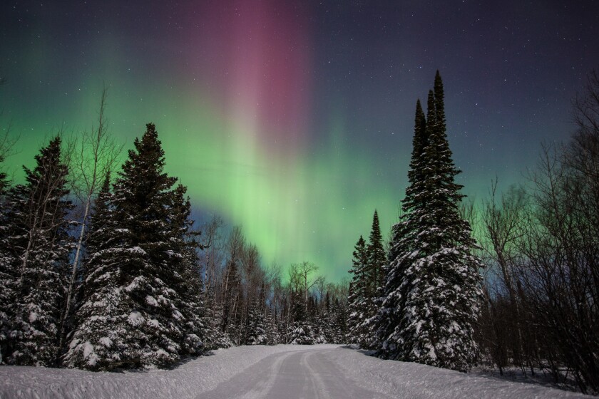 Snowy road leading through fir trees, with vivid green-and-pink aurora borealis visible in the sky.