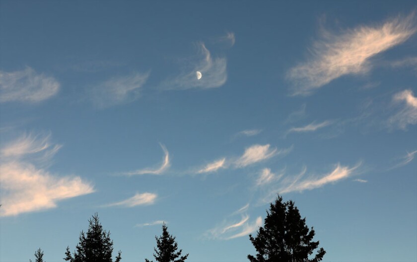 Cirrus and moon