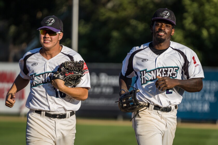 Honkers, Bismark Larks baseball