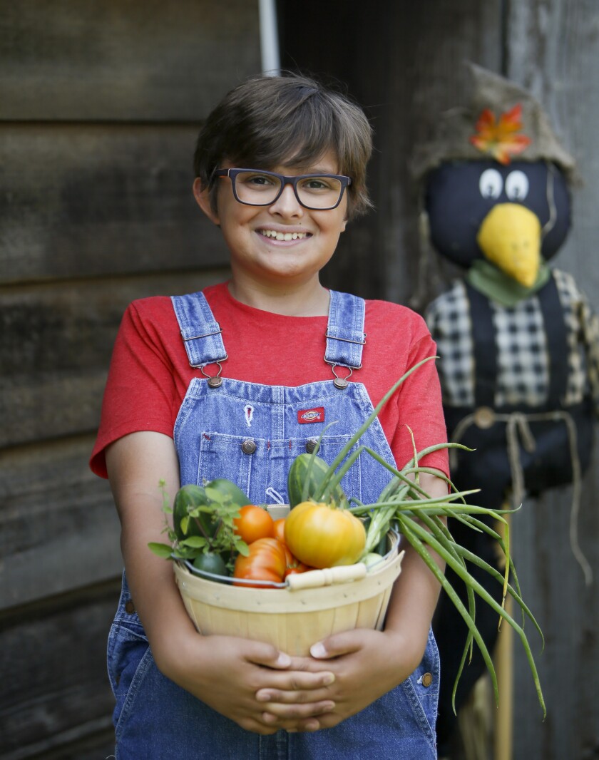 An array of fresh garden veggies serve as this August Abundance Salad. Michael Vosburg / Forum Photo Editor