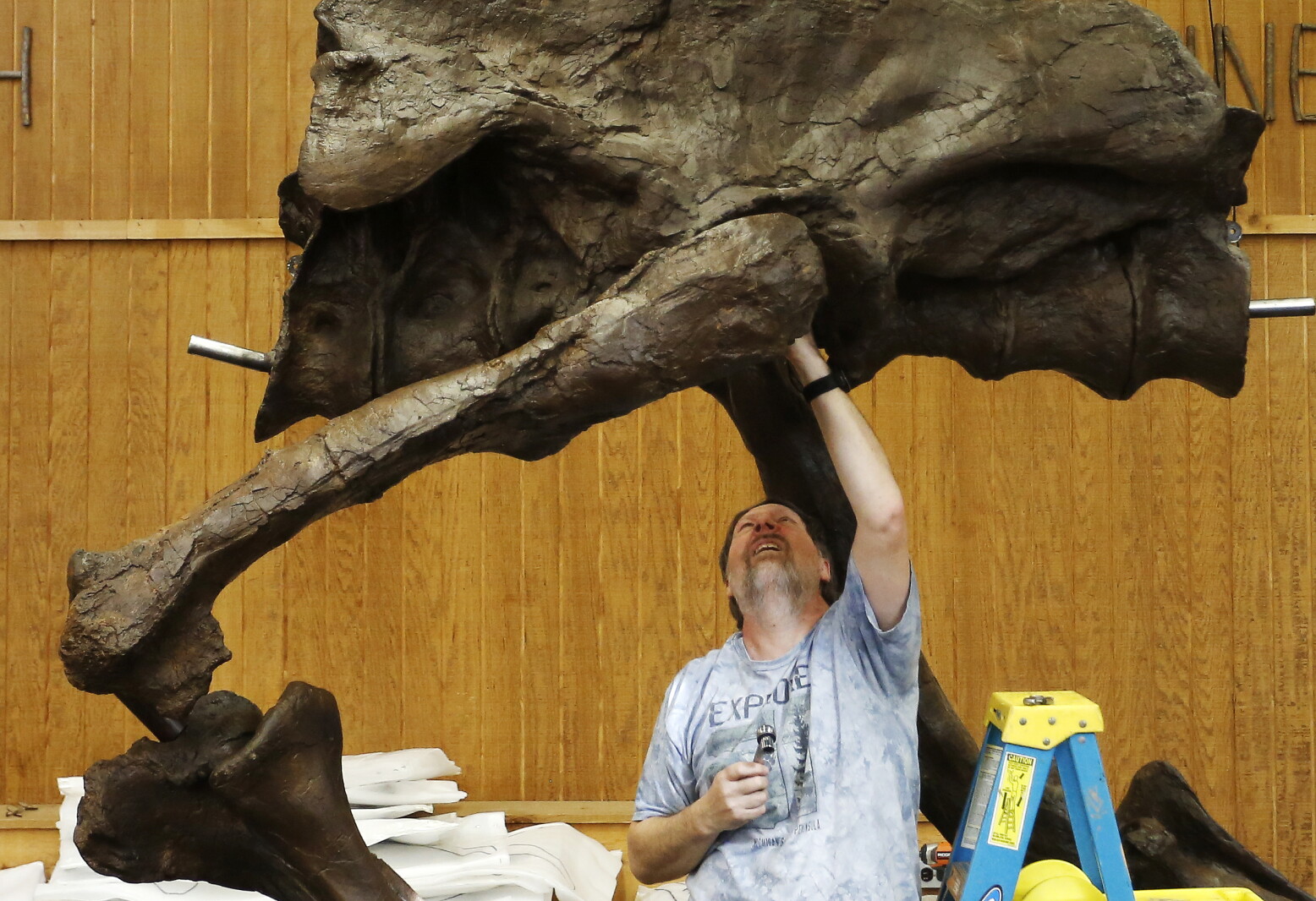 T Rex Building Post Photos: T. rex build at Quarry Hill Nature Center - Post Bulletin ...