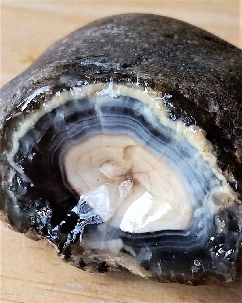 Agate 3.jpg