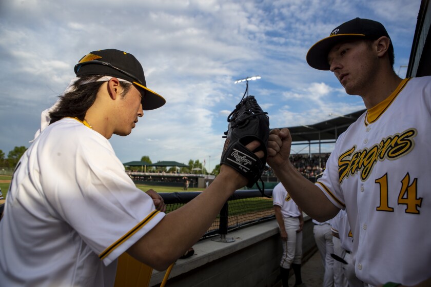 Stingers baseball 005.jpg
