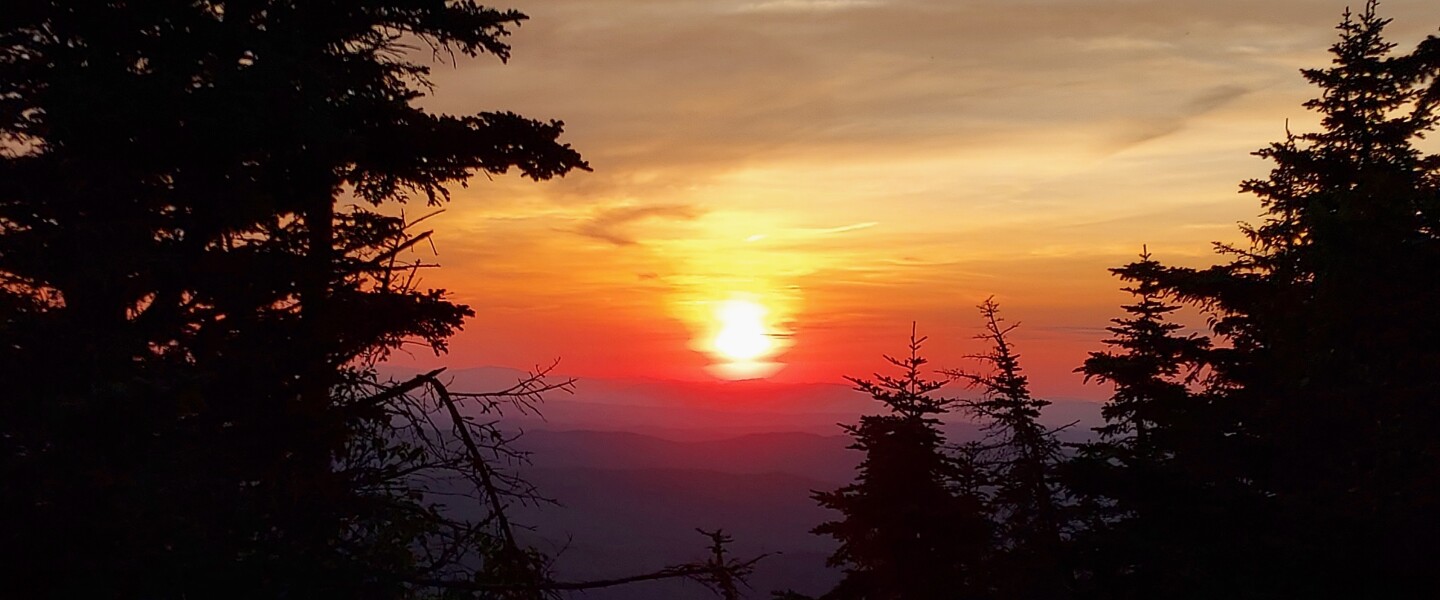 Multi-colored sky with trees in the area