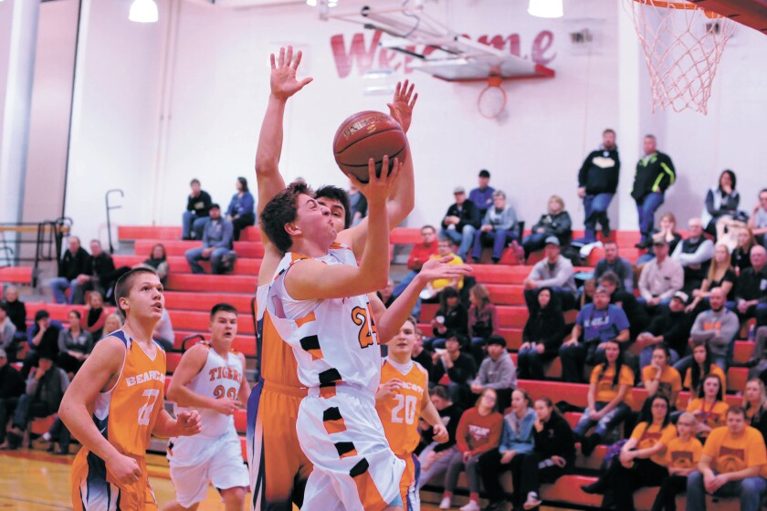 2206264+1216 NE basketball.jpg